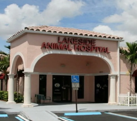 Contact-Us-Lakeside-Animal-Hospital-Plantation-Ft-Lauderale-Vet-Pet-Care